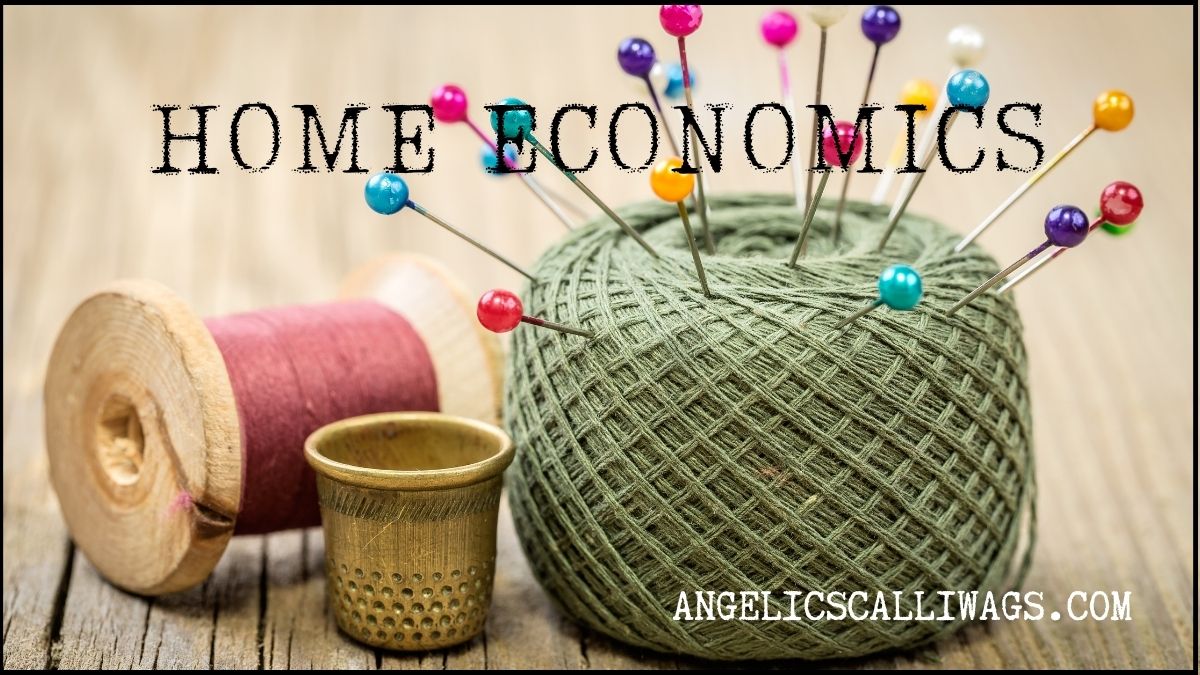 Home Economics for Scalliwags