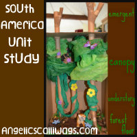 Project Based Learning: South American Animals