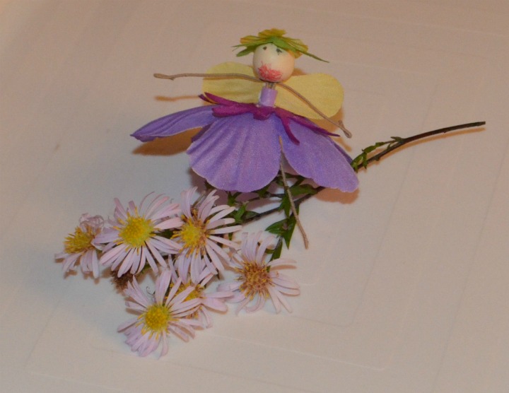nature study, michaelmas daisy, flower fairy10