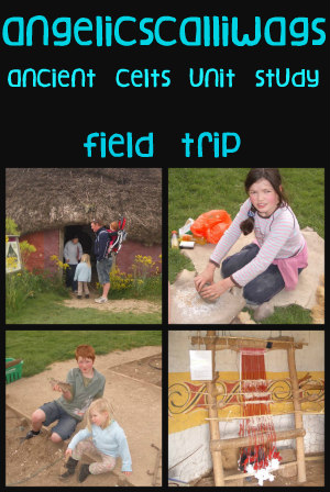 Butser Farm-celts-homeschool-field trip