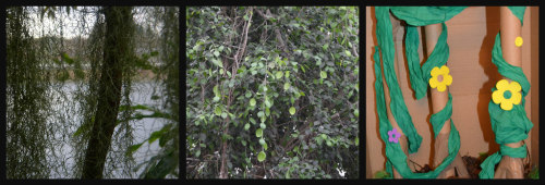 South America-jungle-rainforest-diorama-15