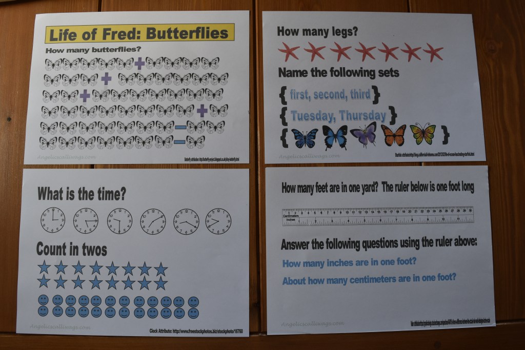 Life of Fred: Butterflies Review Booklet