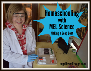 Homeschooling With MEL Chemistry: Soap Boat