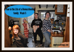 A Year in the Life of a Homeschooling Family: Day 29