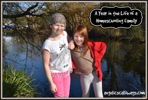 A Year in the Life of a Home-Schooling Family: Half Term