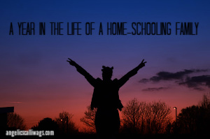 A Year in the Life of a Home-Schooling Family: Day 155