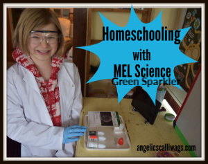 Homeschooling with MEL Science: Green Sparklers