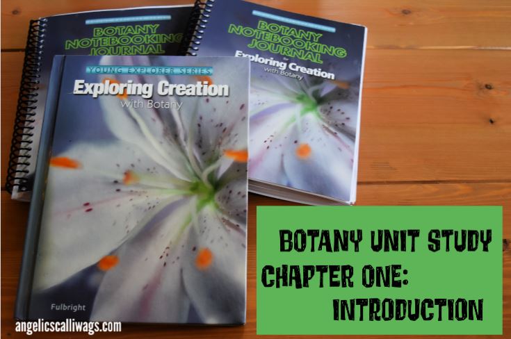 Botany Unit Study: Introduction