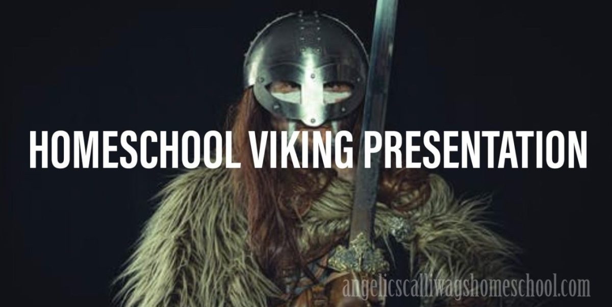 Homeschool Viking Presentation